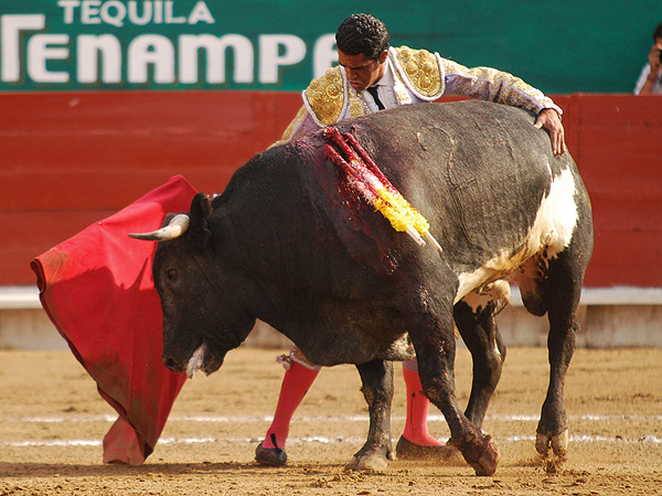 Toreando en redondo