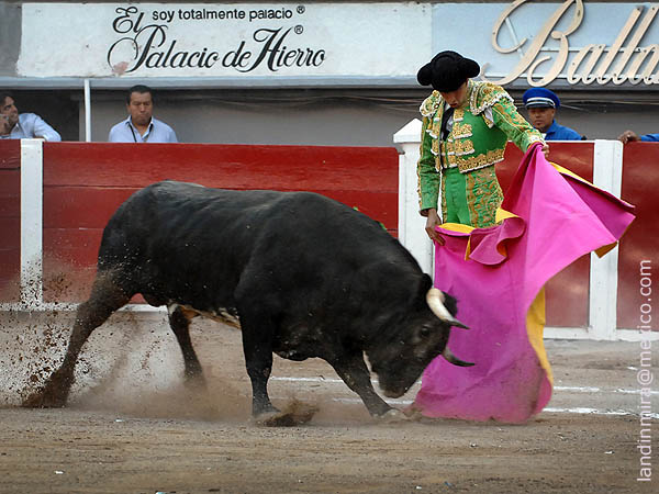 Vernicas de Perera