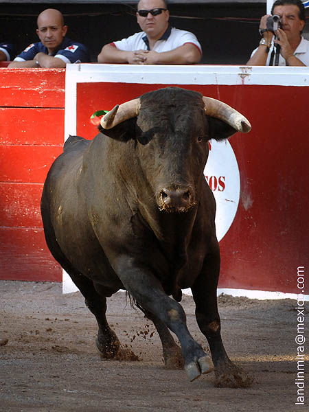 Salta a la arena el segundo