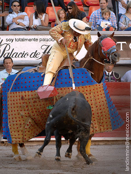 Paco Salinas, en todo lo alto