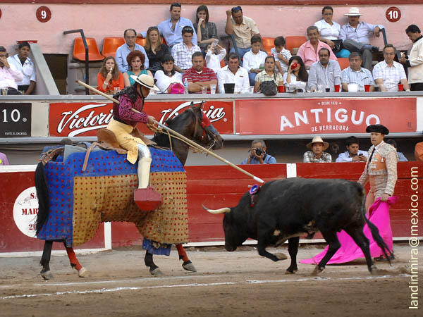 Rafa en la suerte de varas