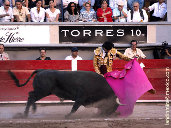 Vernicas de Fero Ochoa