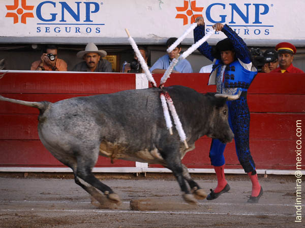 Don Felipe en banderillas