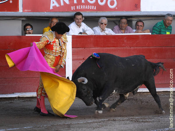 Primeros lances de Rafa Ortega