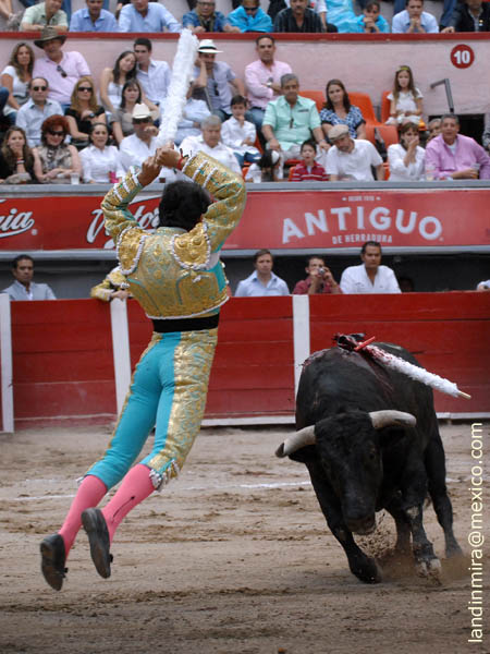 Torero completo