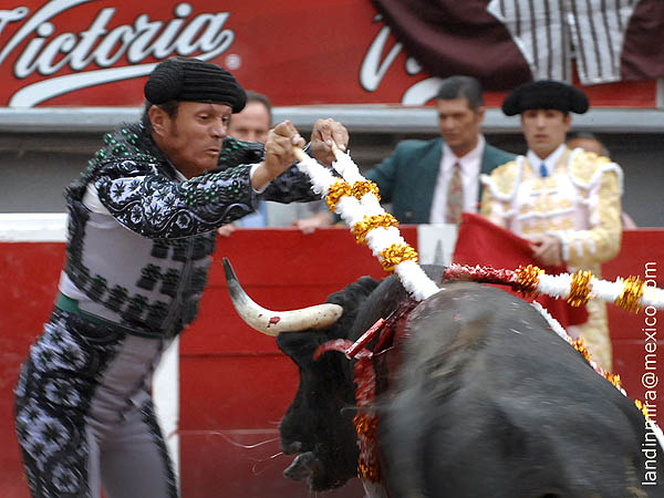 Patrn en banderillas