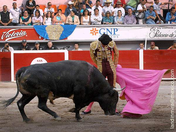 Gerardo Adame abre el festejo