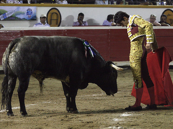 Metido entre los pitones