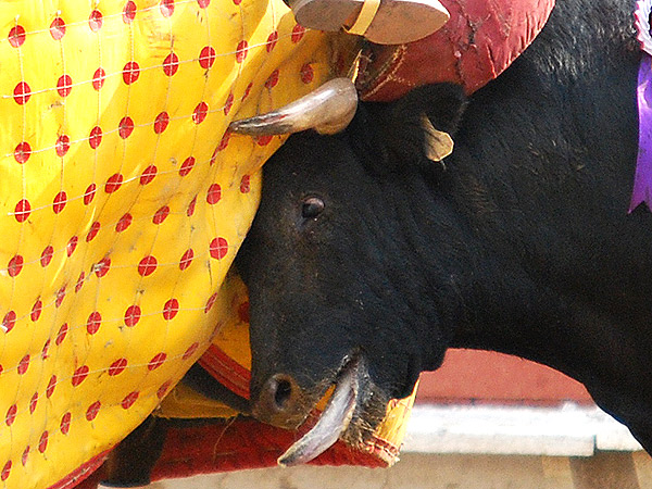 Mirada de batalla