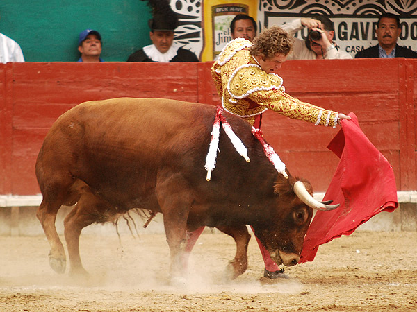 Cuajando la dosantina