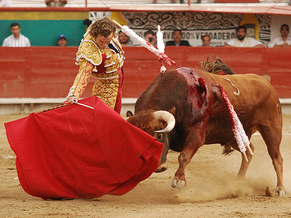 Estructurando la faena