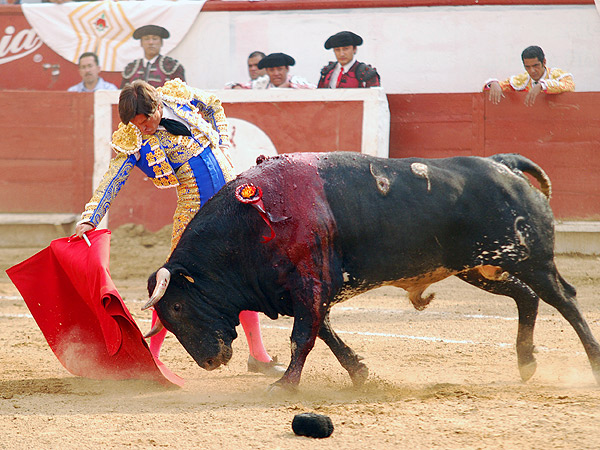 Esbozando la faena