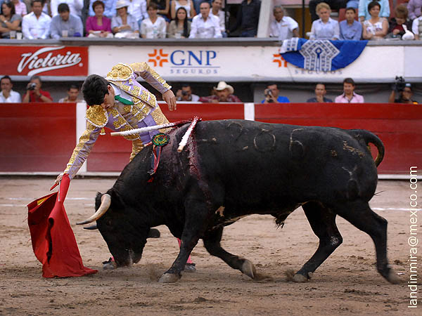 A milmetros de la tela