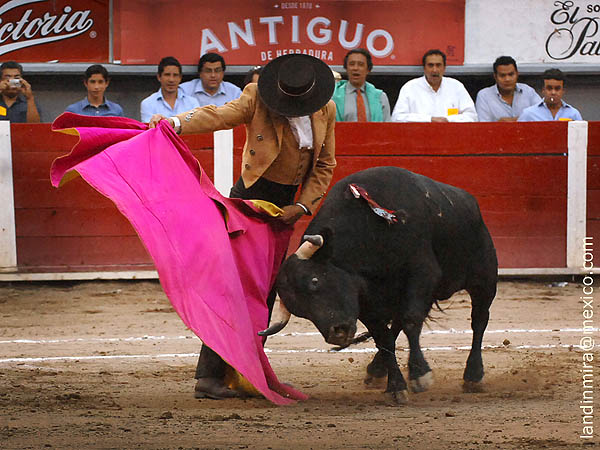 La barbilla en el pecho