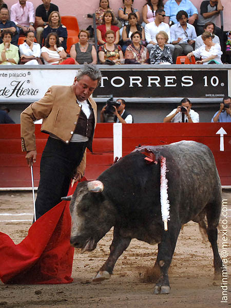 La muleta esperada por todos