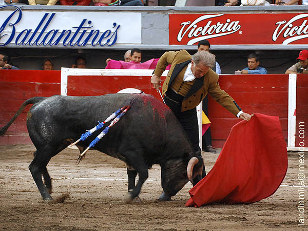 Mano izquierda de oro