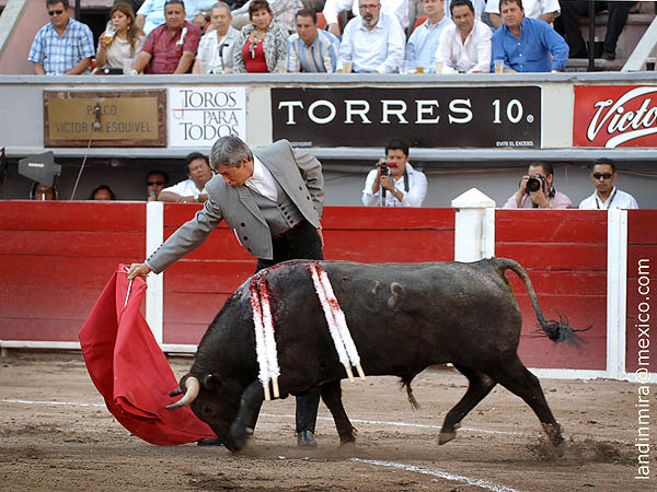 El temple del maestro