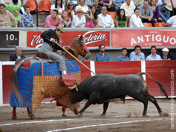 La vara de Jos Prado