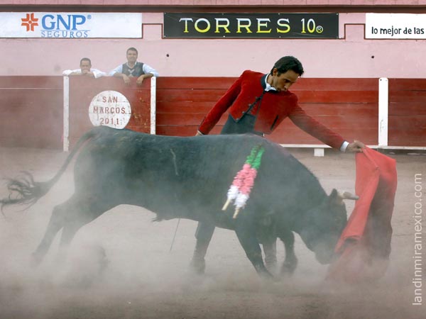 Reposo en los naturales