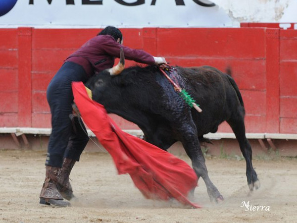 Suerte suprema