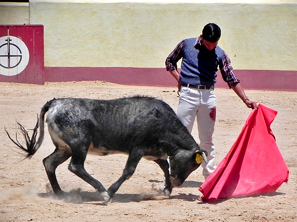 Mario, rumbo a Aguascalientes