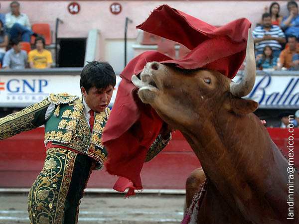 Firmeza en el remate