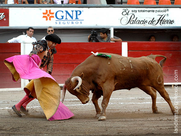 Felipe padre en la brega