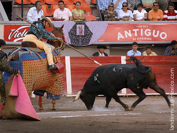 Metiendo la cara