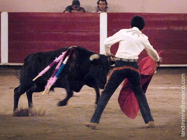 Faena de Hctor Gutirrez