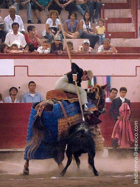 Guillermo Cobos, en todo lo alto