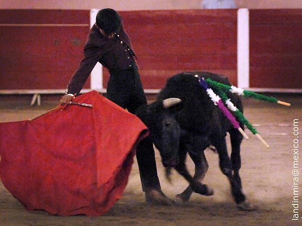 Cargando la suerte