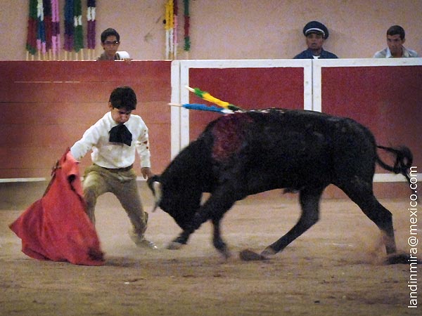 Calibrando al eral