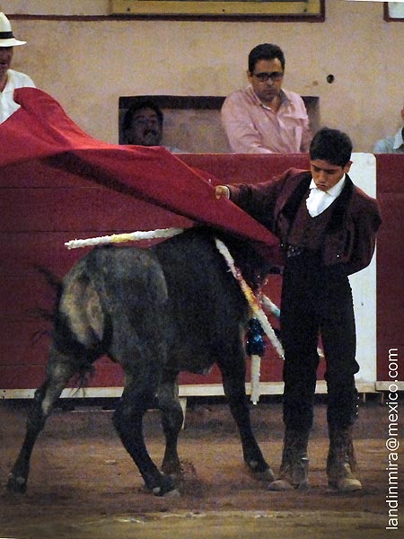 Adornos finales