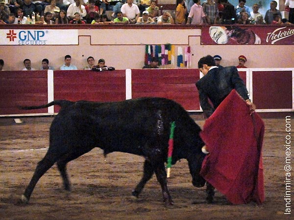 Cambiado por la espalda