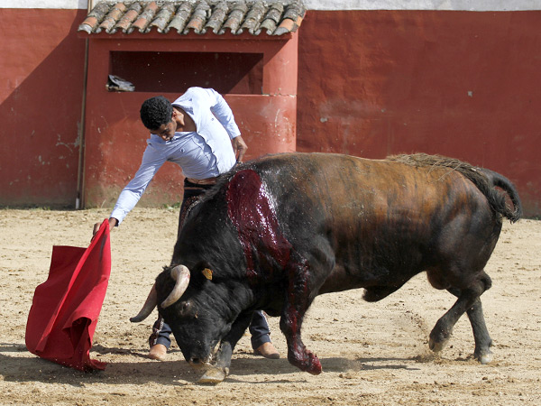 Gustndose en un derechazo