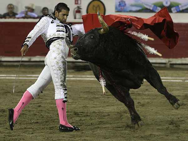 Abrochando la faena