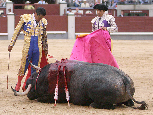 El torero gan la batalla