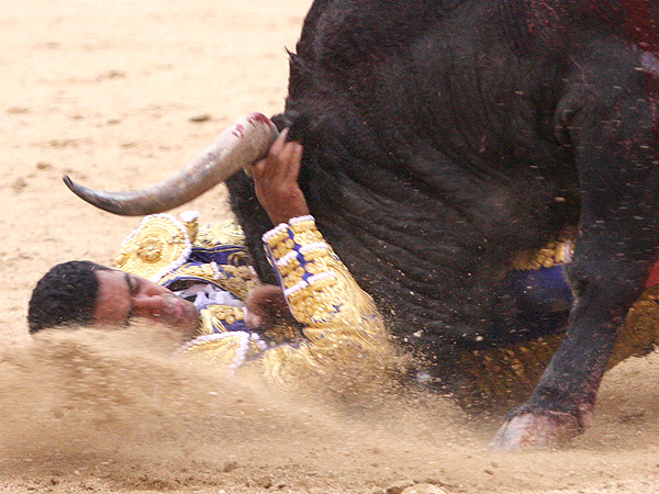 La furia de la fiera