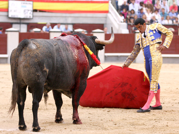 Toro y torero, retndose