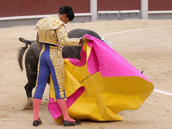 Aguantando la embestida