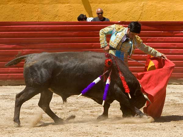 Templando