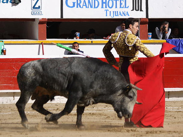 Mauricio, valiente (Pelayo)