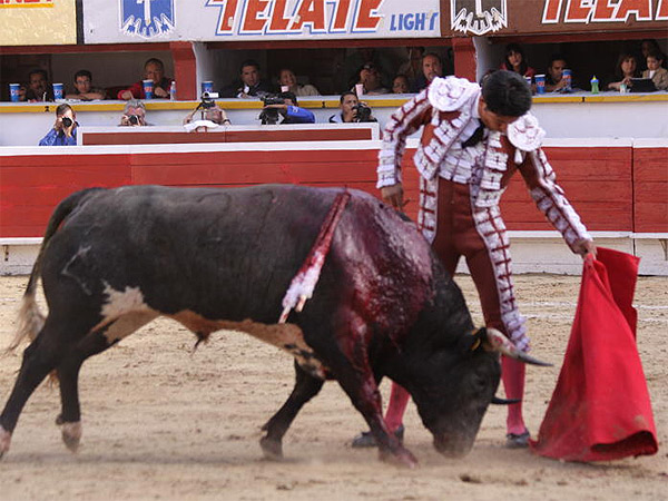 Relajada la figura (Pelayo)