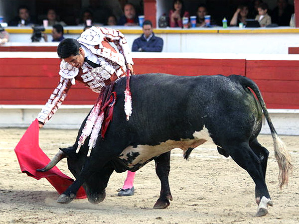 Corriendo la mano (Pelayo)