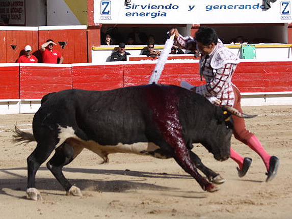 El Zapata y su par (Pelayo)