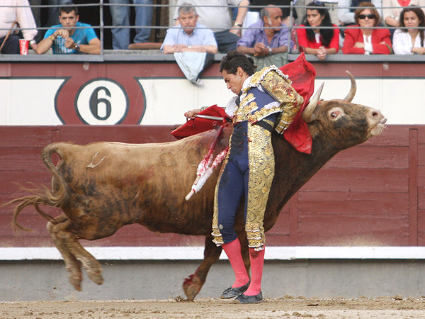 Tragando en la bernadina