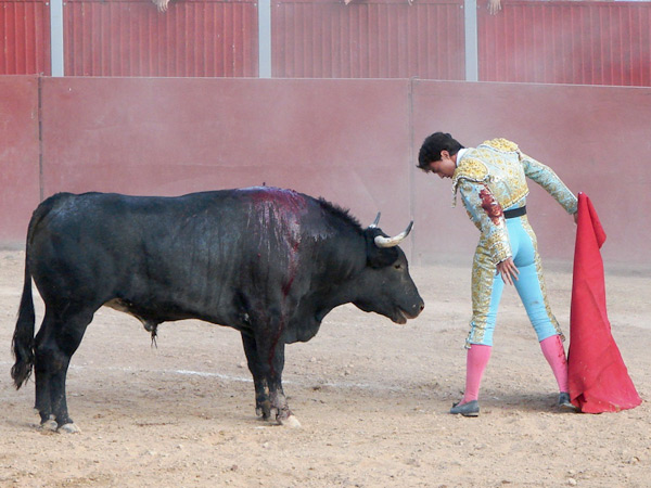 Un desplante del salmantino