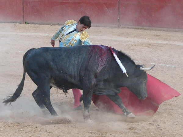 Excelente final del muletazo