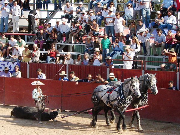 Vuelta al toro de San Jos