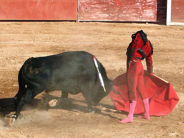 Asentado sobre la arena